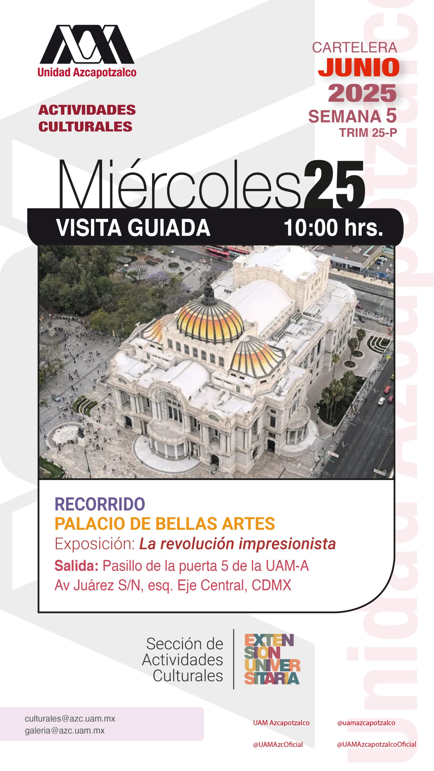 Jueves 19